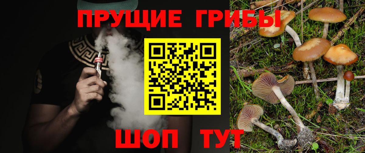 Воронеж  Галлюциногенные грибы MAGIC MUSHROOMS  Вход с VPN 